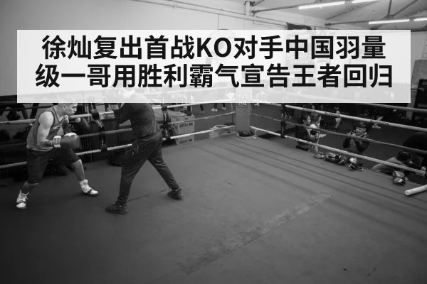 boxer training gym